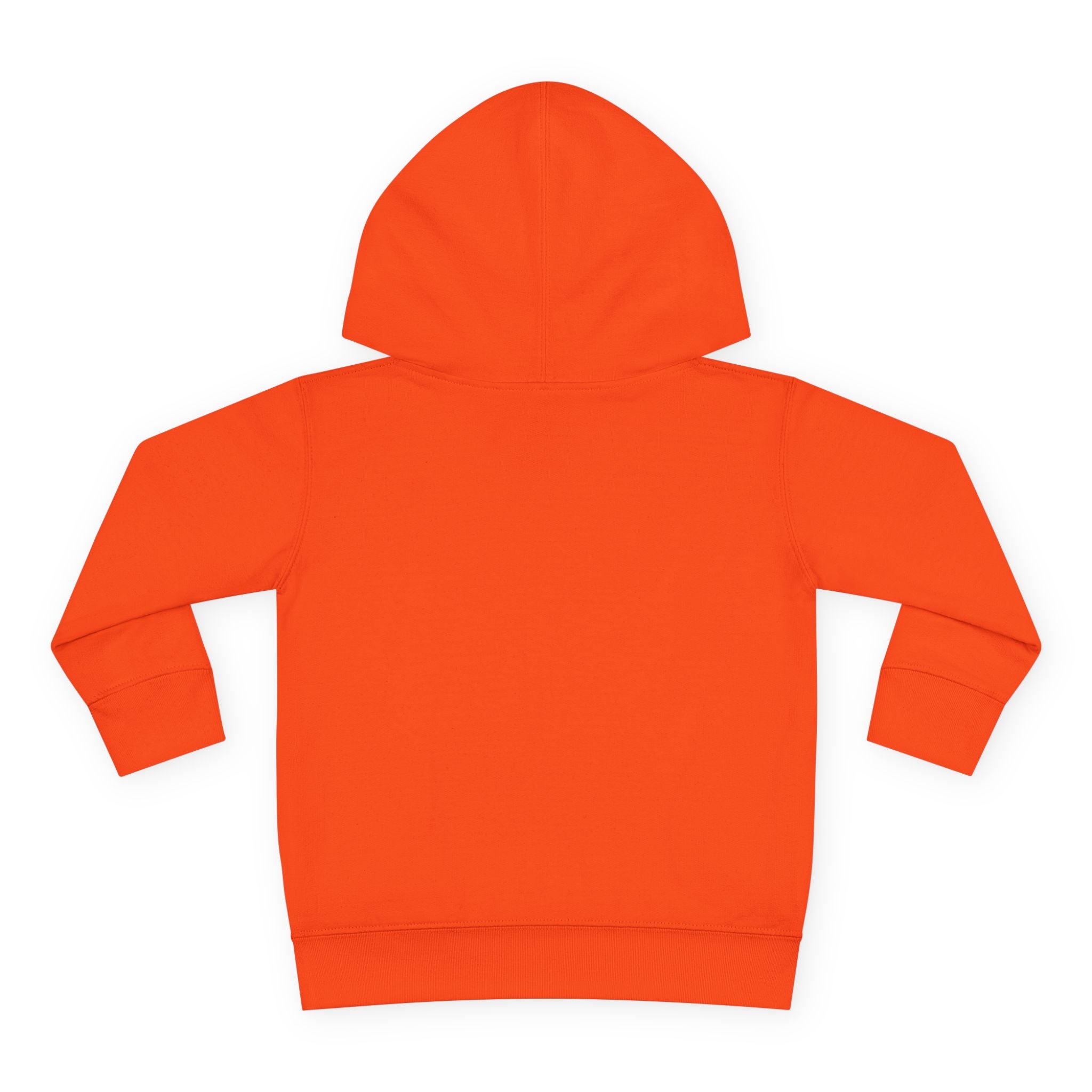 Cute on the outside Choas on the inside Toddler Pullover Fleece Hoodie