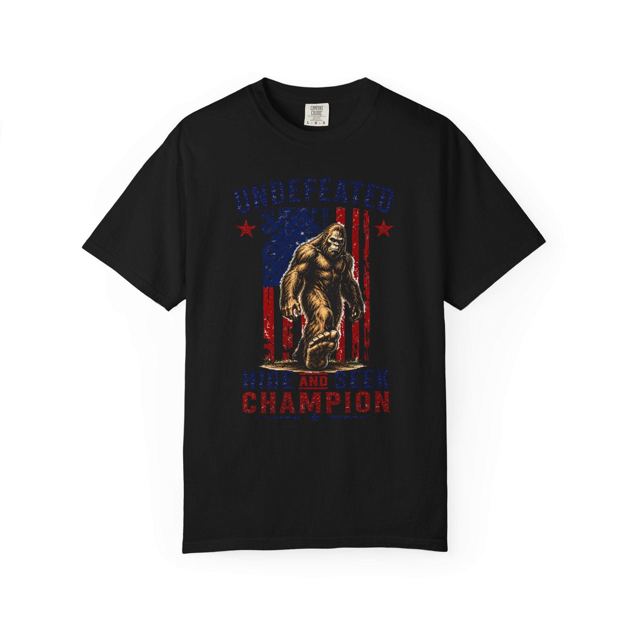 Undefeated Hide and Seek Champion 4th of July T-shirt