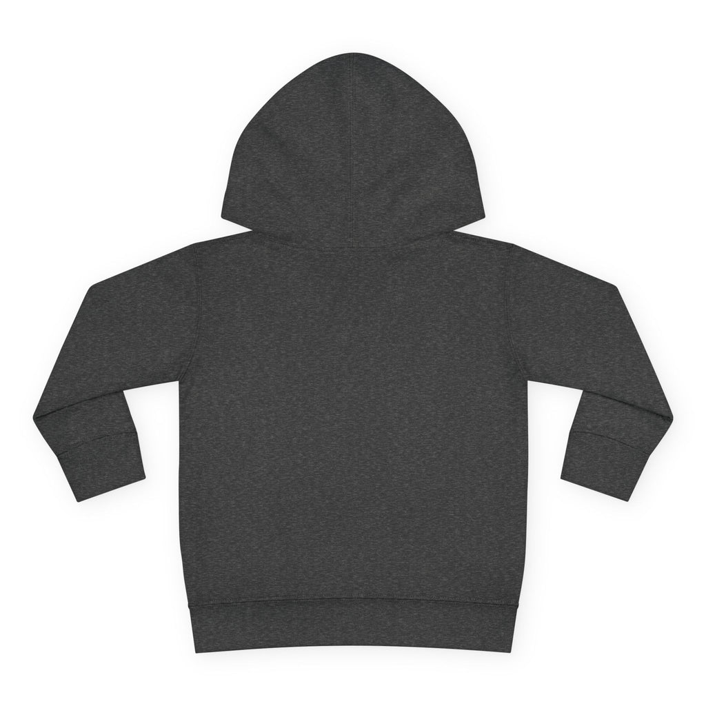 Chaos Coordinator Toddler Pullover Fleece Hoodie